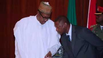 EFCC: Wasu Dattawan Arewa sun yi wa Ministan Buhari raddi saboda tuhumar Magu