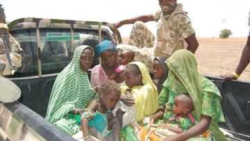 Sai sojoji da dakarun CJTF sunyi lalata da mu kafin sun bamu isashen abinci – Masu gudun hijira sun rubutawa Buhari wasika