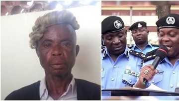 Fake lawyer who has been practising for 15 years arrested by police (photo)