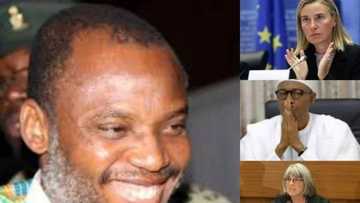 Biafra: SHOW DOWN as 16 members of European parliament move against FG