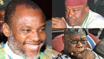 Nigeria can never know peace until Obasanjo leaves us alone - Okwu declares, endorses IPOB’s seat-at-home order