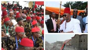 Most Igbos will soon join Biafra agitation - Ohaneze Ndigbo gives important reasons