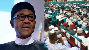 Majalisar Wakilai ta sake huro wuta ga shugaba Buhari kan sanya wasu sabbin bukatu da suka haura 10 cikin dokar kasa