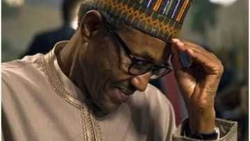 Don't allow Nigerians expectations turn to frustrations, Centre warns Buhari