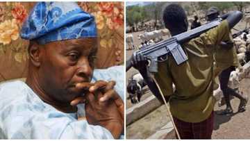 I don’t know why herdsmen have been attacking my farm - Falae laments