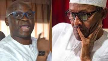 You are a ceremonial president - Fayose tells Buhari