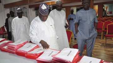 An sasanta yan takarar gwamna da zasu fafata a zaben fidda gwani na APC a Zamfara