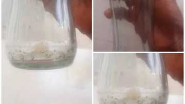 Man buys ‘fake’ drink in Lagos; see what he found inside the bottle (photos)