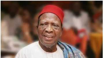 Dalilin da yasa masu karancin Ilimi da rikicin tsufa ke rike da mukaman iko a kasar nan - Nwabueze