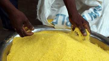 Covid-19: Gwamnatin tarayya ta raba wa talakan Najeriya garin rogo da sauran kayan abinci