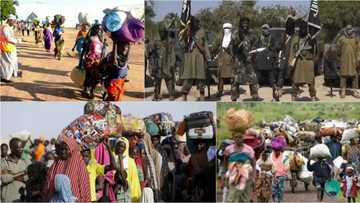 Nigeria to evacuate 78,000 IDPs displaced by Boko Haram from Cameroon