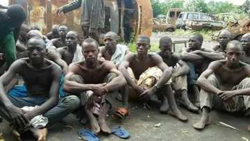 PHOTOS: Troops Arrest 33 Boko Haram Food Suppliers