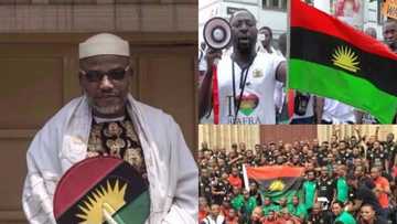 Group dares Buhari, says Nnamdi Kanu has not done anything criminal