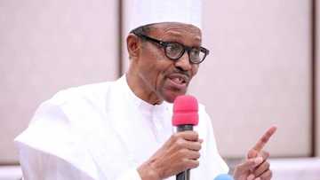 It is blackmail to say I have not done anything about farmers/herdsmen clashes because I am Fulani - Buhari