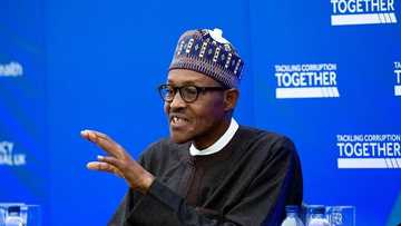 Hanyoyi 4 da ‘Yan Majalisa su ka bi na kawowa Gwamnatin Buhari cikas wajen yakar barayin Kasa