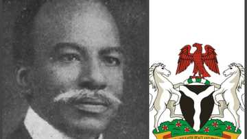 Interesting facts about person who started the first political party in Nigeria