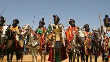 Hawan daushe: Yan kwankwasiyya da Gandujiyya sun sassari juna a Kano (hotuna)