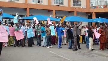 Ba zamu yarda Sanata yana daukan miliyan N13.5m ba yayin da ake biyan mu N18,000 a wata ba - Kungiyar ma'aikata