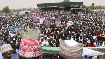 Taro ya kai taro: An yi gangamin murnar sake tsayawar Buhari takara a jihar Jigawa