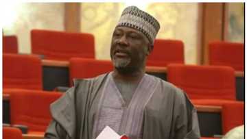 Police rearrest 5 suspected assassins allegedly linked to Dino Melaye who escaped from jail