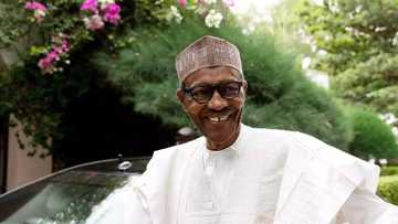 JUST IN: President Buhari not dead but needs prayers, says minister