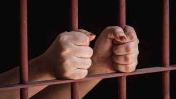 Allah ya kyauta! Yawan fursunoni mata na karuwa a duniya