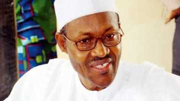 What "change begins with me" would do for us - Nigerians in diaspora