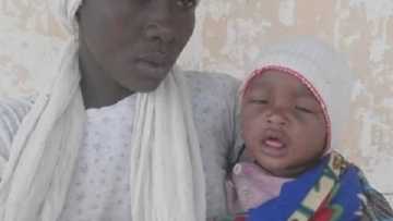 Nigerian Army rescues another Chibok girl with baby near Sambisa