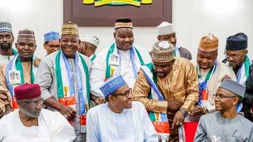 Sunayen jaruman fim din Hausa 15 da ke yiwa Buhari kamfen