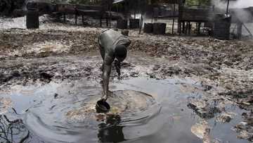 Shell dragged to London court over allegations of oil spill in Bonga community