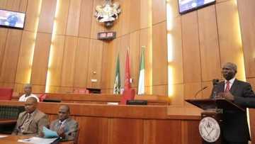 Julius Berger writes Fashola announcing suspension of work, in response to Lagos-Ibadan budget cuts by NASS