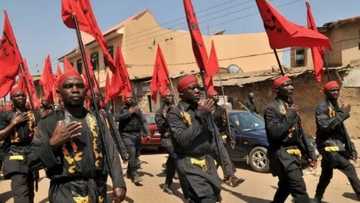 Tattakin yan shia: An kashe mutum daya tare da jikkata 3 yayin arangama da Sojoji