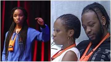 Ebuka is just Judas Iscariot's cousin - Nigerians react to Bambam’s eviction on a Saturday