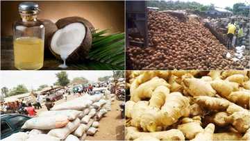 Opinion: How to turn Nigeria’s biggest problems to biggest businesses