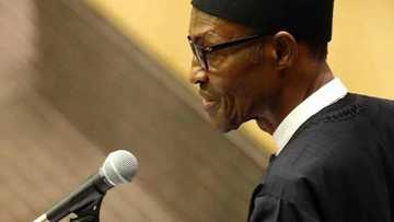 JUST IN: President Buhari delivers powerful speech in New York (Photos)
