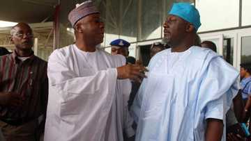 Senate at certain point is like Dino and Saraki - Senator Ali Ndume