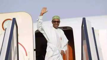 President Buhari to visit Netherlands for commemoration of International Criminal Court