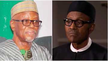 2019: Tension in APC as nPDP gives ultimatum, says time is running out for ruling party