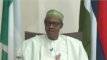 Buhari Blasts Nnamdi Kanu, Reacts To Agitation For Biafra Republic