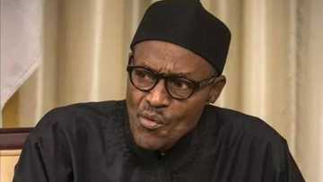 Buhari to treat Avengers, IPOB as Boko Haram members?