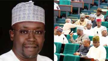 Zargin badakala: Shugaban hukumar bayar da agajin gaggawa ta kasa (NEMA) ya amsa laifin sa