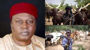 Baki-ke-yanka-wuya: Wani matashi ya fallasa yadda suke kashe Hausawa da Fulani a Taraba