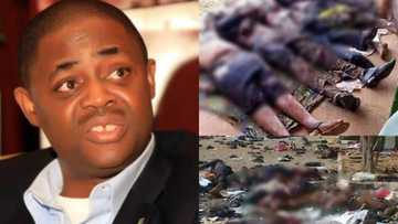 Fani-Kayode releases alleged photos of Southern Kaduna killings (Graphic)