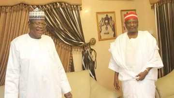 Da alamun baraka a Kwankwasiyya: Wasu jiga-jiganta sun ce a kori Madugu daga PDP