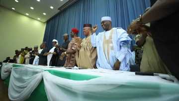 APC youth leader dismisses CUPP, says Buhari won't lose sleep over them