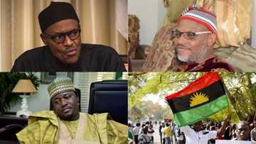 It's Buhari that should be arrested not Nnamdi Kanu - IPOB fumes