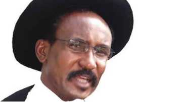 Nnamdi Kanu: Wani tsohon Gwamna ya gargadi gwamnatin Buhari