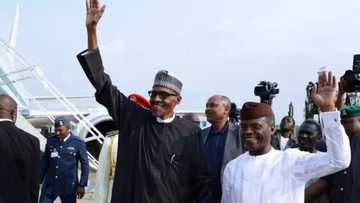 2019 election: President Buhari, Osinbajo, other APC bigwigs set to storm Abia