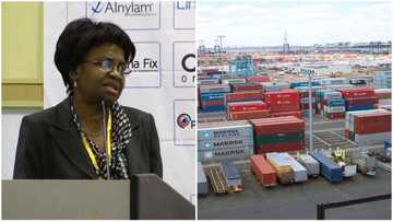 FG directs NAFDAC to return to ports