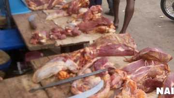 Rashin imani: Wani mutum ya kashe budurwa sa yayi balangu da naman ta